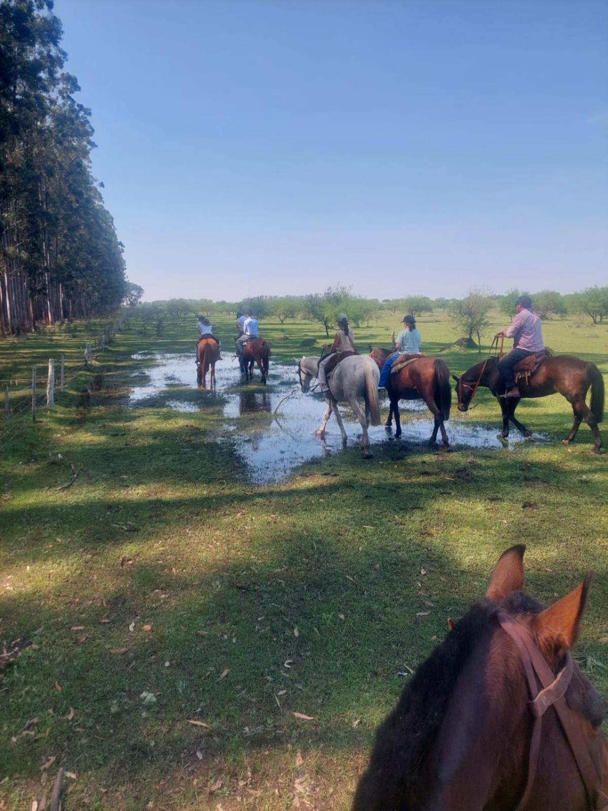 Estancia La Violeta Chajarí Εξωτερικό φωτογραφία