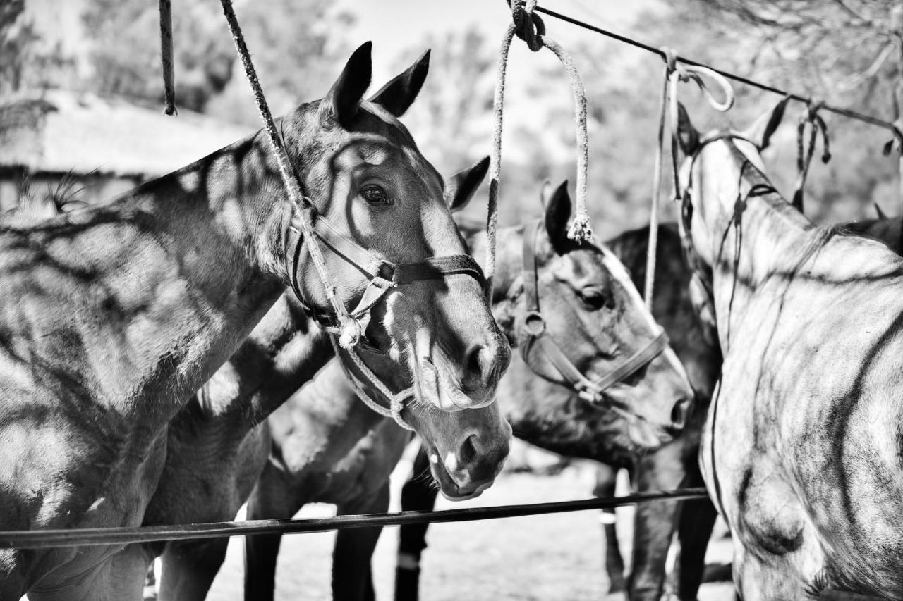 Estancia La Violeta Chajarí Εξωτερικό φωτογραφία