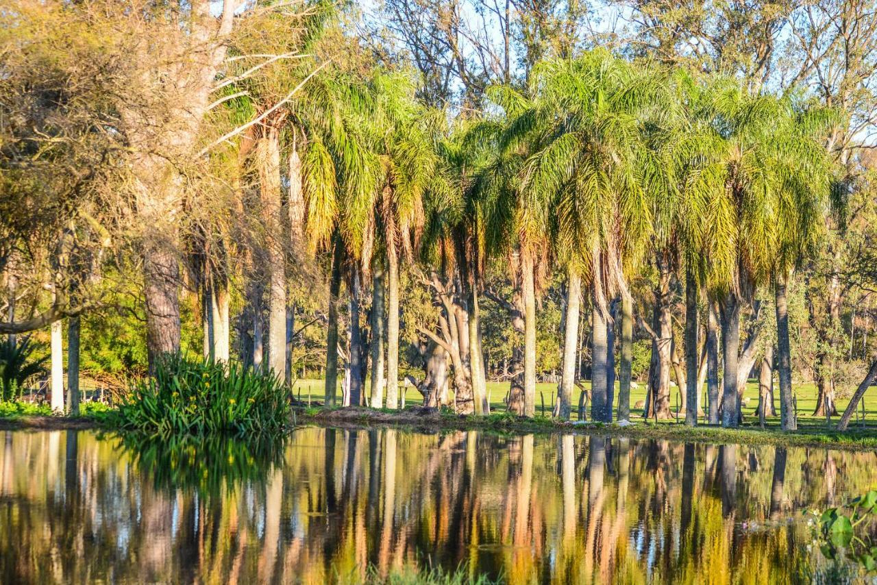 Estancia La Violeta Chajarí Εξωτερικό φωτογραφία